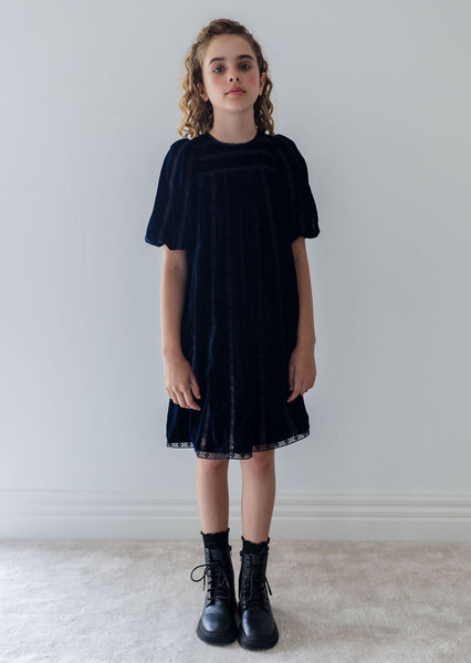 Petite Amalie Navy/Black Vertical Lace Velvet Dress