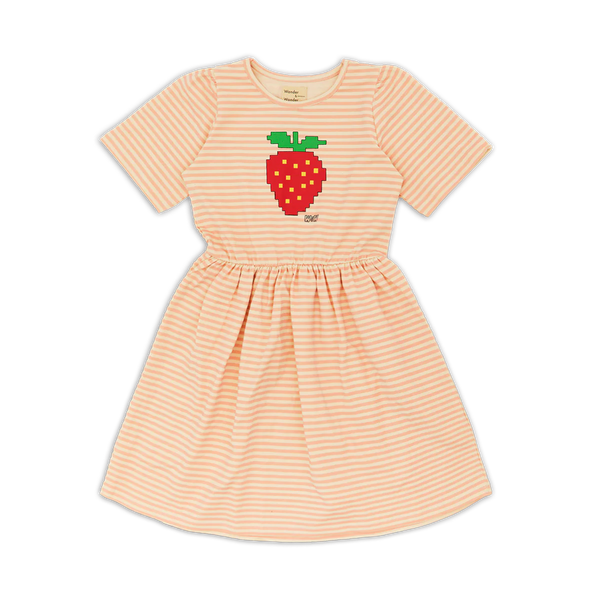 Wander & Wonder Blush Stripe Lowri Dress
