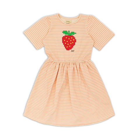 Wander & Wonder Blush Stripe Lowri Dress