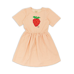 Wander & Wonder Blush Stripe Lowri Dress