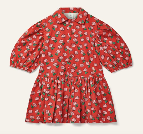 Wynken Dancing Dahlia Beau Dress