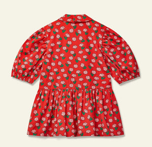 Wynken Dancing Dahlia Beau Dress