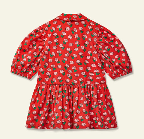 Wynken Dancing Dahlia Beau Dress