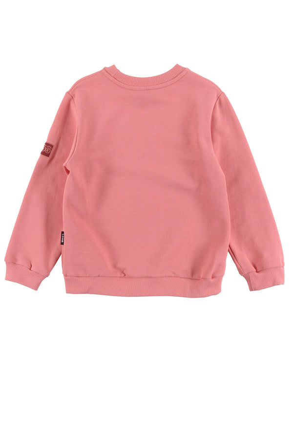 Loud Apparel Raspberry Family Sweatshirt – BellaKidsNY