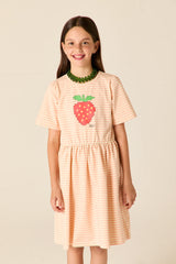 Wander & Wonder Blush Stripe Lowri Dress