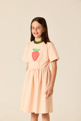 Wander & Wonder Blush Stripe Lowri Dress