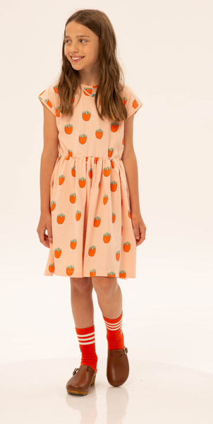 Wander And Wonder Daniela Pink Dress With Sleeve
