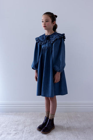 Steph Chambray Embroidered Collar Dress