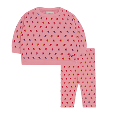 The Campamento Pink Flowers Set