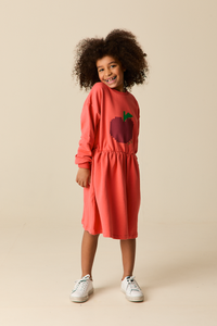 Wander & Wonder Rhubarb Big Apple Sweater Dress