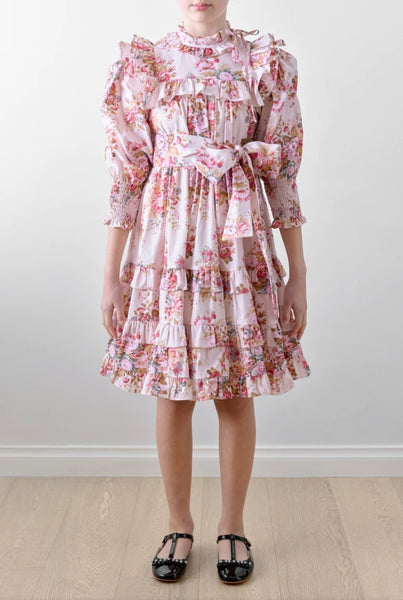 PETITE AMALIE PINK PRINT LISA DRESS