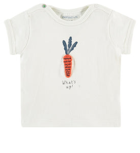 IMPS AND ELFS ENNERDALE SET